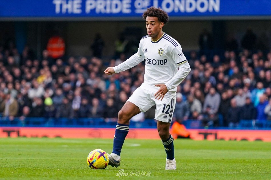 赛的观察 赛的观察